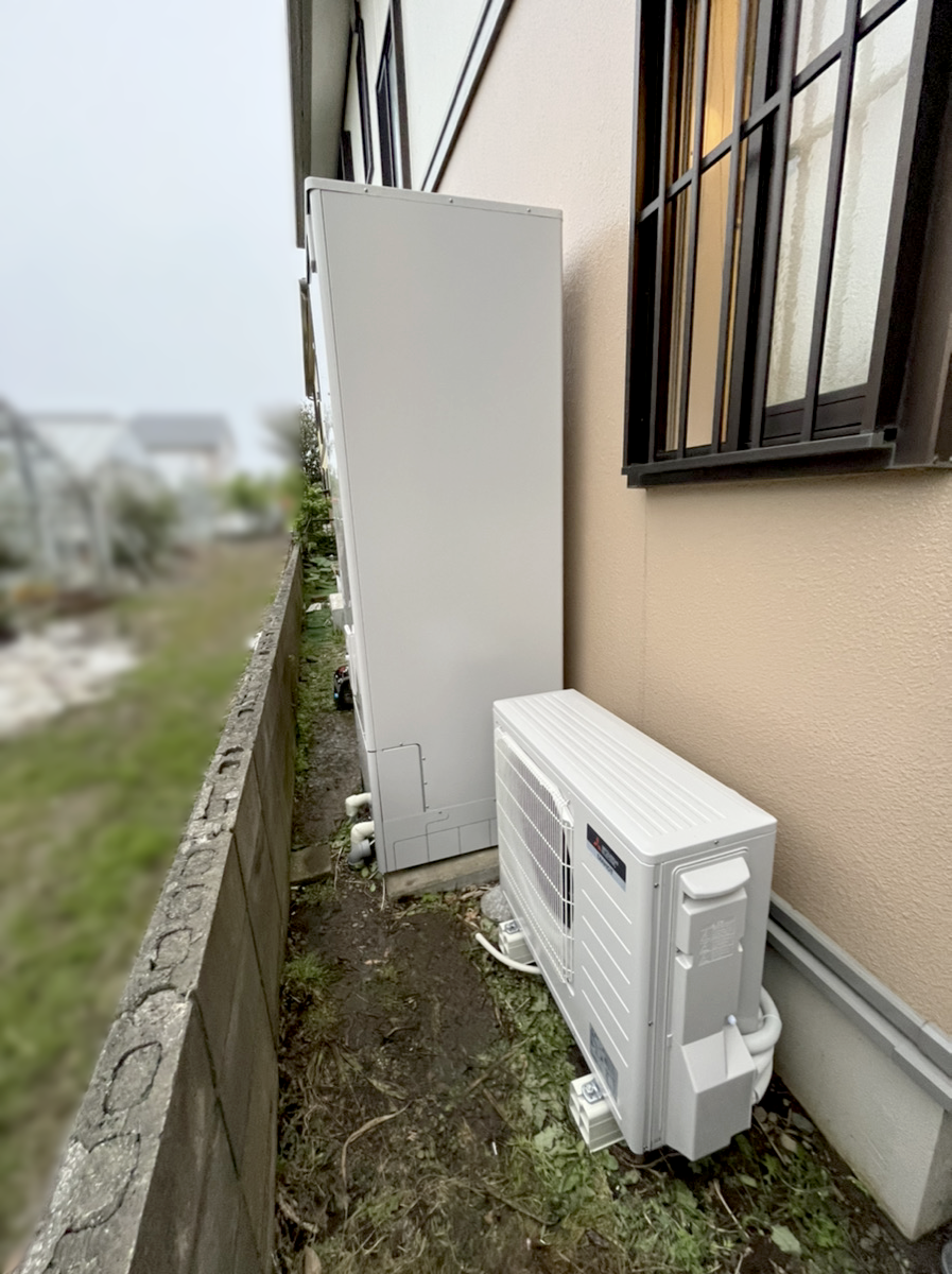 エコロジカル・ダイエット （初版 帯付き） 商品画像